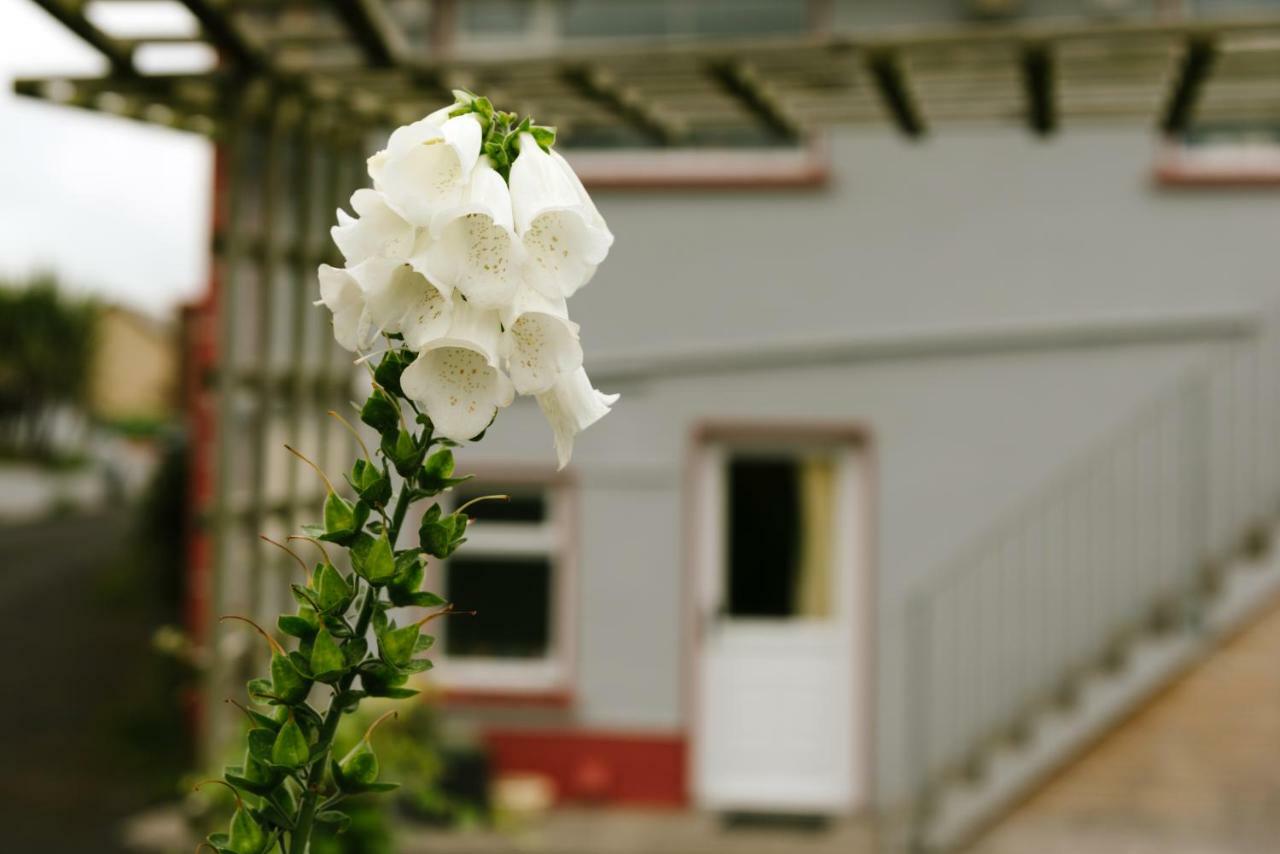 Eagle Heights Bed and Breakfast Enniscrone Exteriör bild